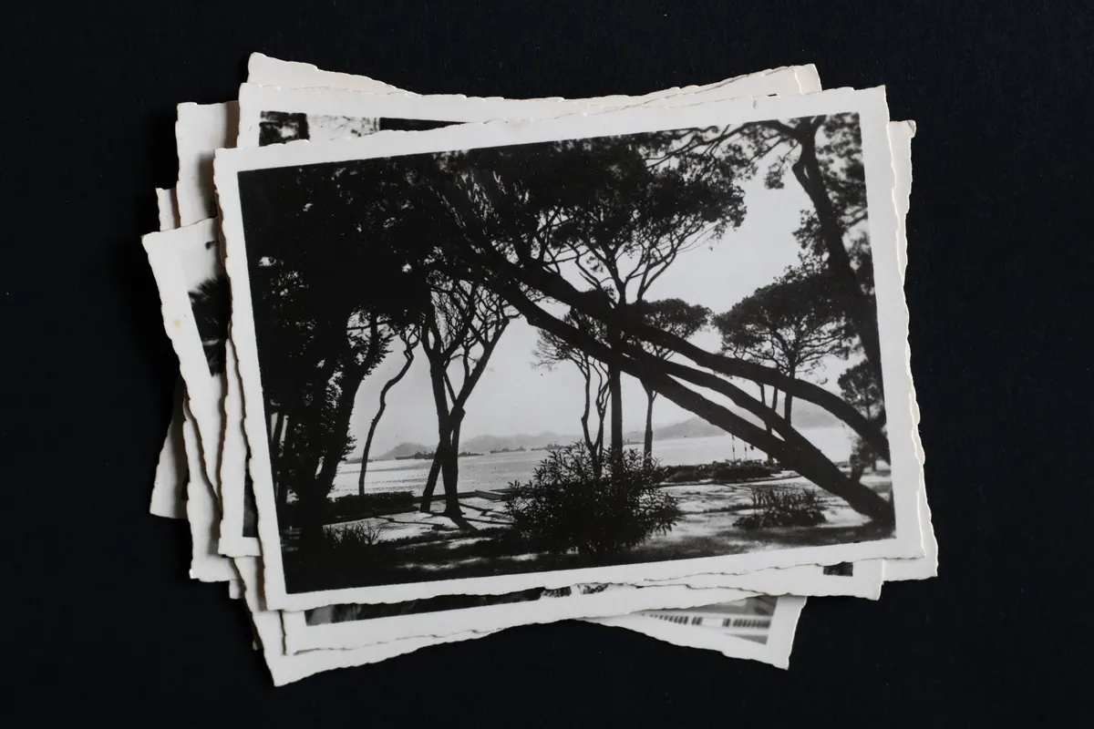 Real Photo Postcards vs. Printed Postcards: How to Tell Them Apart